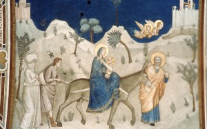 Icon of CAPILLA SIXTINA Y APARTAMENTOS BORGIA J6176x3855-40087