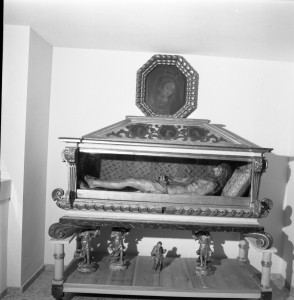 Icon of BODA NOVICIA044