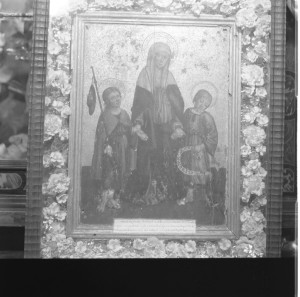 Icon of BODA NOVICIA029