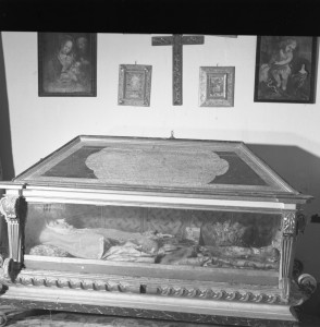 Icon of BODA NOVICIA031