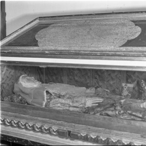 Icon of BODA NOVICIA032