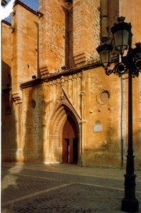 Icon of Colegita Puerta Santa Maria1