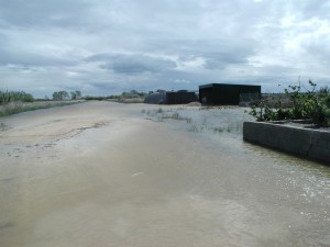 Icon of Campo Inundado Jaraco
