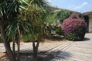 Icon of JARDIN ALQUERIA DEL DUC4-helena Mg