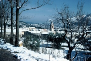 Icon of Almiserat Nevado