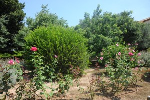 Icon of JARDIN ALQUERIA DEL DUC5-helena Mg