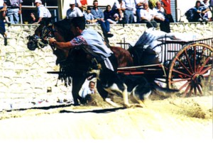 Icon of Tiro Y Arrastre