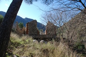 Icon of CENTRAL DE LA LUZ Vilallonga4