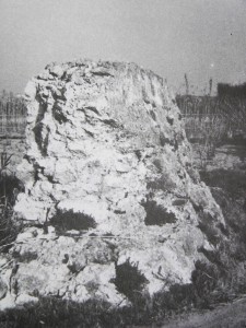 Icon of TORRE GUAITA OLIVA
