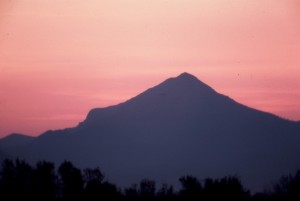Icon of Gandia Montduber