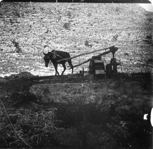 Icon of BURRO NORIA