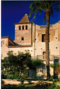 Icon of Torre Dels Pares3