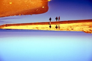 Icon of PLAYA OLIVA-CLOTAL