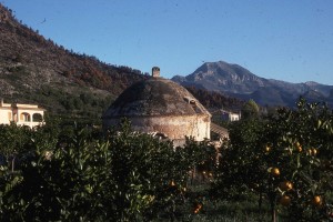 Icon of Morabito3