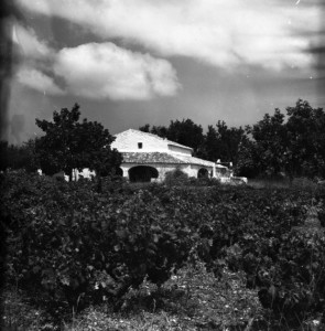 Icon of FOTOS RIU RAU015
