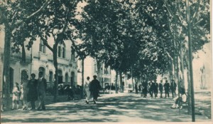 Icon of Paseo1