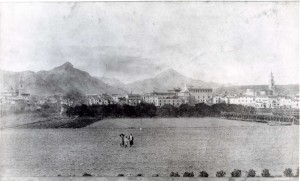 Icon of GANDIA-1890