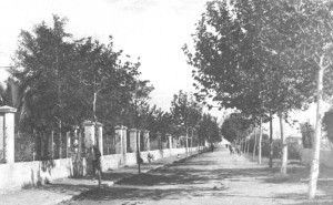 Icon of AVENIDA DE LA PAZ-AÑOS 40