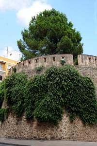 Icon of TORREO DEL PI -helena Mg