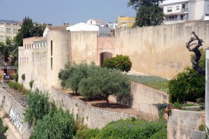 Icon of MURALAS GANDIA3-helena Mg