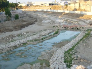 Icon of Canalizando El Rio Serpies