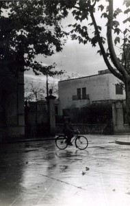 Icon of Gandia-Chalet Monzó-1