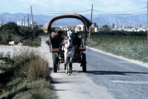 Icon of Gandia Carro