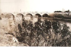 Icon of Postal 27291365 PUENTES