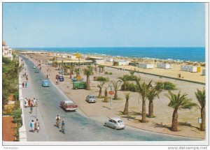 Icon of Postal 561 001 PLAYA