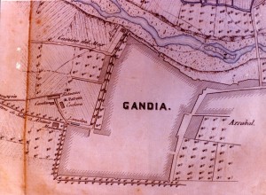 Icon of Plano Gandia