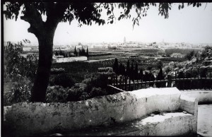 Icon of Vista General Gandia Vista Desde Santa Ana