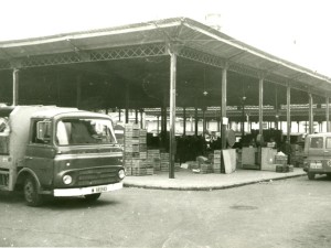 Icon of Gandia-Porches Prado
