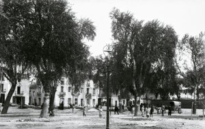 Icon of GANDIA-PRADO
