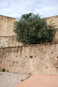 Icon of Muralla Hospital Y Torre Mora037