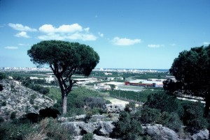 Icon of Vista General Gandia Vista Desde Santa Ana Dinos