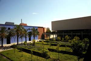 Icon of Campus De Gandia - Helena Mg