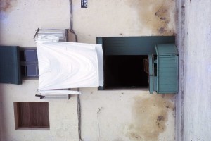 Icon of Paraeta