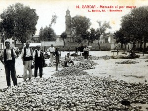 Icon of Gandia-Porches Prado II