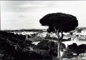 Icon of Vista General GANDIA Vista General Desde Santa Ana