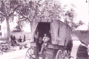 Icon of Carromato Antiguo
