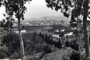 Icon of Vista General GANDIA Vista General Desde Santa Ana 1