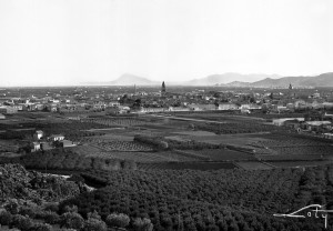 Icon of Vista General Gandia Vista Aerea 9