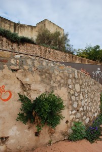 Icon of Muralla Hospital Y Torre Mora006