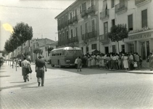Icon of MAGISTRADO CATALA 1962026
