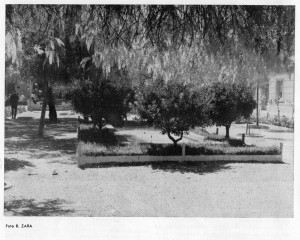 Icon of Gandia 1963 010