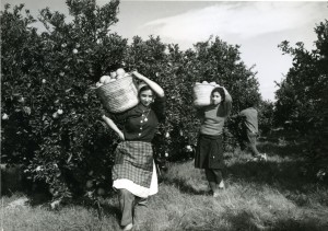 Icon of Mujer Cogiendo Naranjas-1965