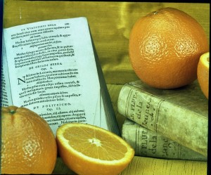 Icon of Naranjas Bodegon
