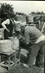 Icon of Pesando Naranjas-1968