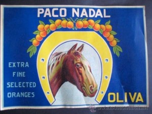 Icon of 8855025