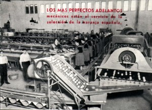 Icon of Gandia-fesa05